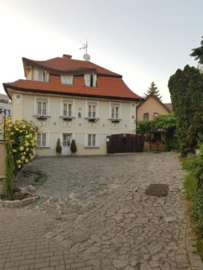 Отель Pension Centrum  Ржичаны